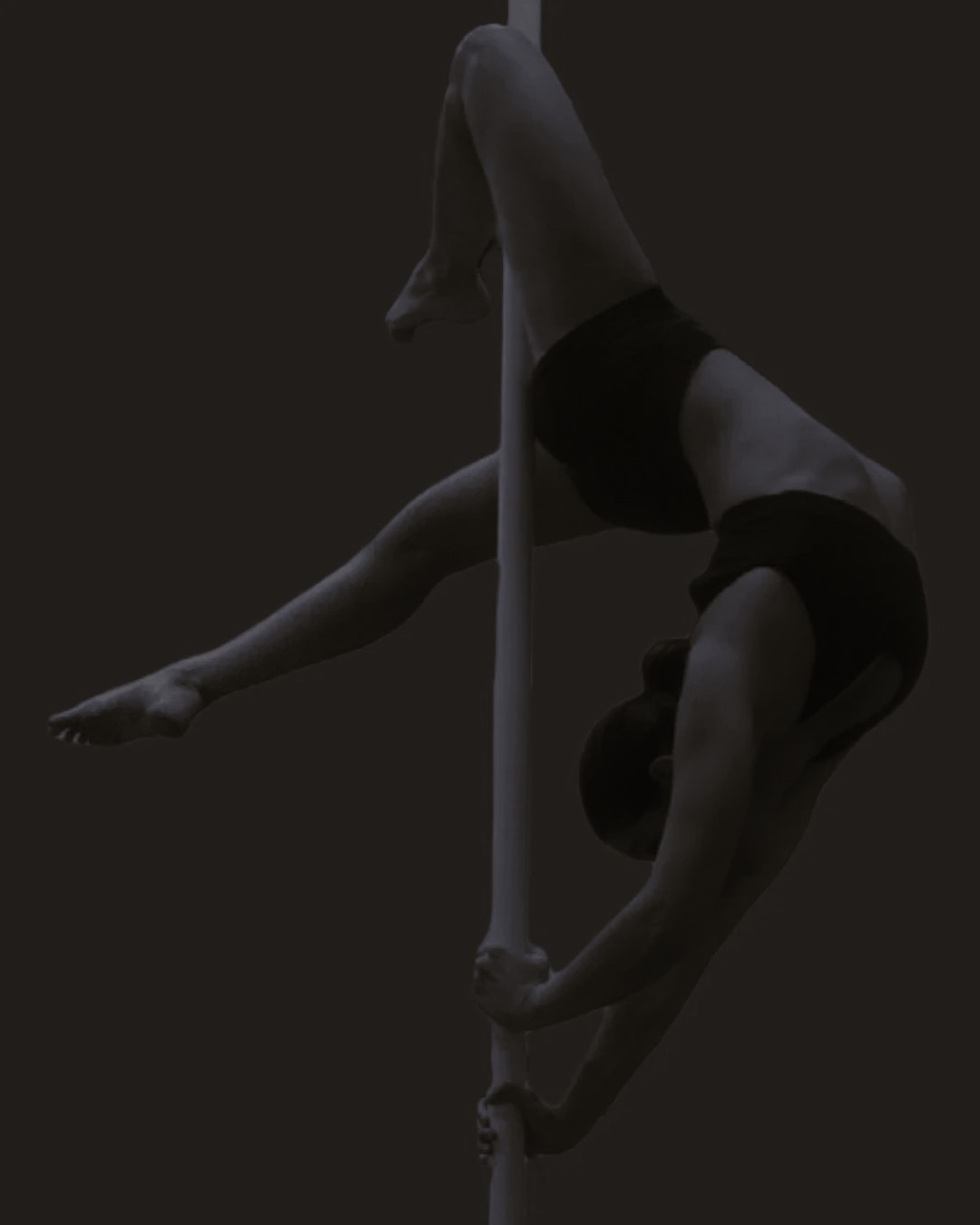 corso istruttori pole dance