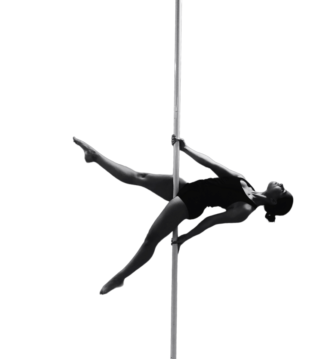 corso istruttori pole dance
